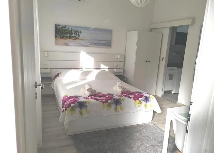 Dominik 마카르스카