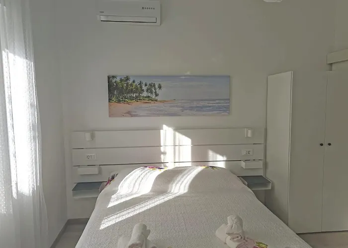 Dominik * 마카르스카